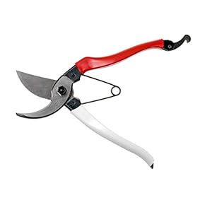 Amazon.co.jp: 剪定用具 - 農具・散水用品: DIY・工具・ガーデン